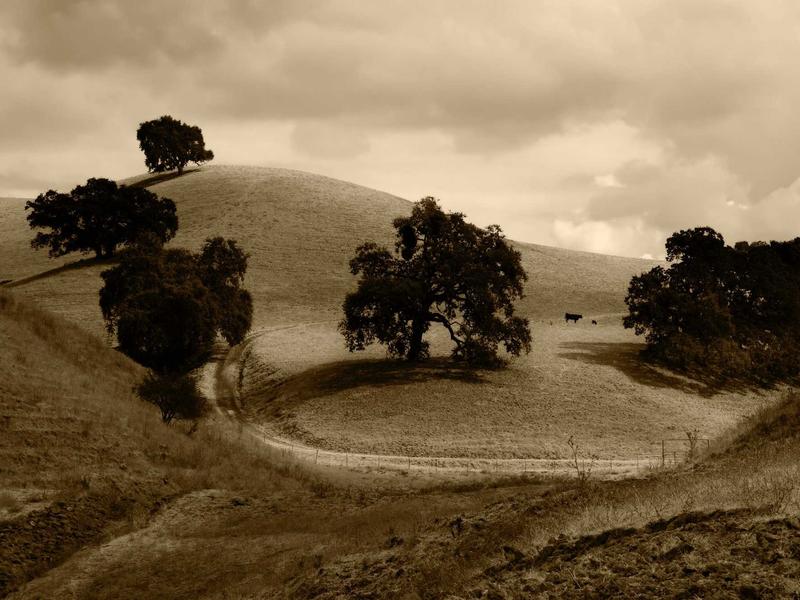 数字游民<br>hzldzsi.cn 四海为家护照